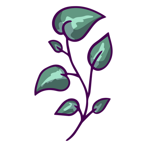 Folhas de planta de traçado de cor Desenho PNG