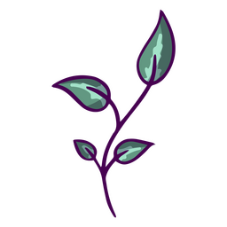 Plantas de trazo de color de hojas Diseño PNG