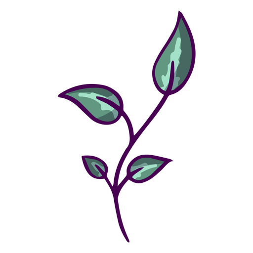 Folhas de plantas de traçado de cor Desenho PNG