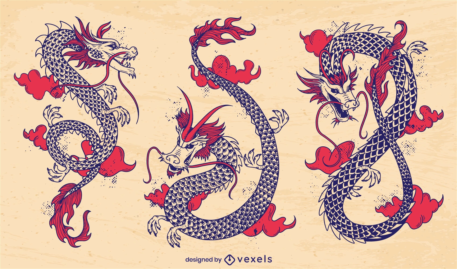 Conjunto de ilustração detalhada do dragão