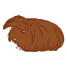 Guinea pig illustration peruvian PNG Design Transparent PNG