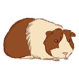 Guinea pig illustration american PNG Design Transparent PNG