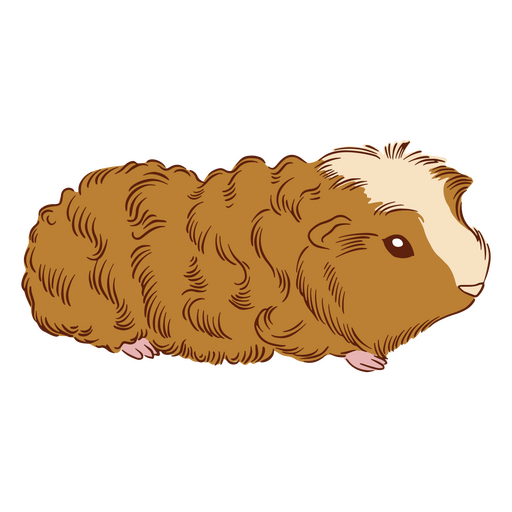 Guinea pig illustration texel PNG Design