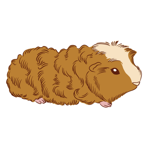 texel de ilustração de cobaia Desenho PNG