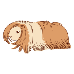 Meerschweinchen-Illustrationsseide PNG-Design