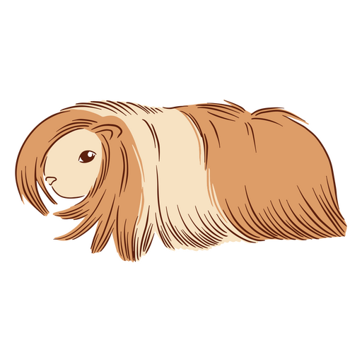 silkie de ilustração de cobaia Desenho PNG