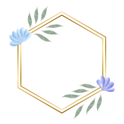 Sechseckiger Blumenaquarellrahmen PNG-Design