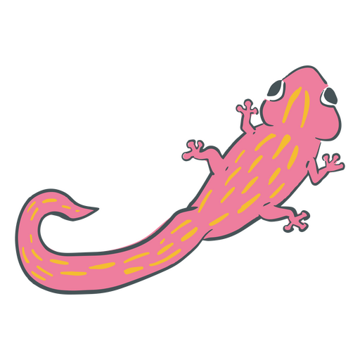 Curso de cor de salamandra rosa Desenho PNG