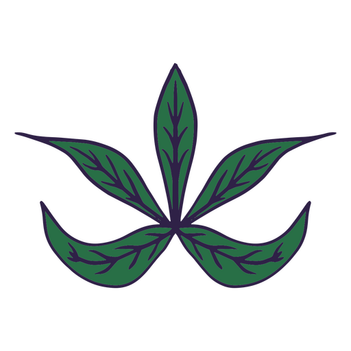 Folhas de traçado de cor de plantas Desenho PNG