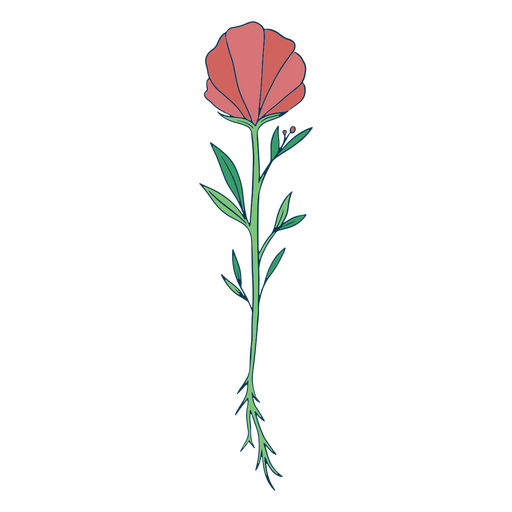 Traço de cor de flor bonito vermelho Desenho PNG
