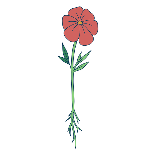 Primavera de traçado de cor de flor vermelha Desenho PNG