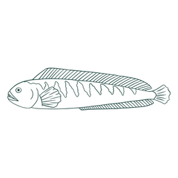 Fish nature simple water animal icon PNG Design