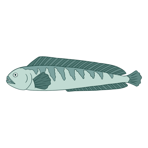 Peixe natureza ?gua ?cone animal Desenho PNG