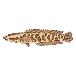 Wasser Tier Natur Fisch-Symbol PNG-Design