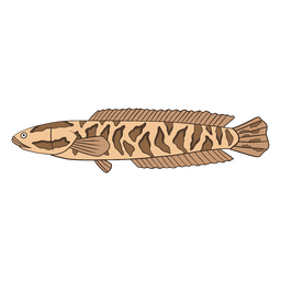 Water animal nature fish icon PNG Design