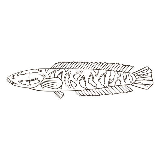 Einfache Naturfischikone des Wassertiers PNG-Design