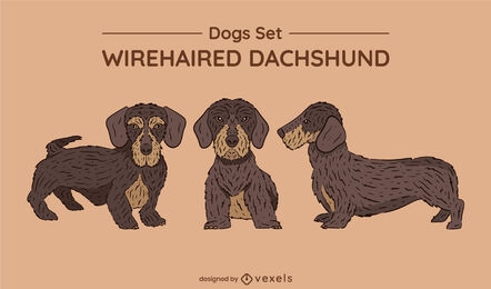 Wirehaired dachshund dogs set