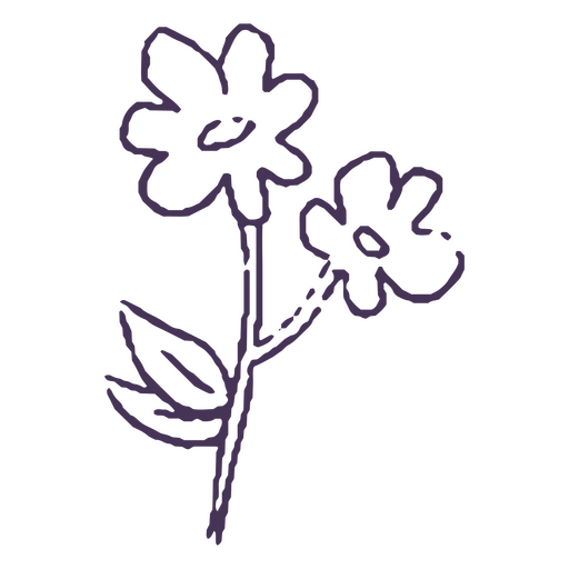 Blumenpaar handgezeichnet PNG-Design
