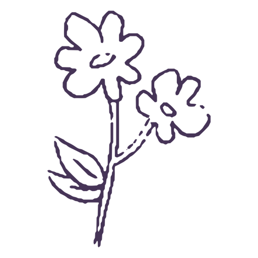 Par de flores desenhadas à mão Desenho PNG