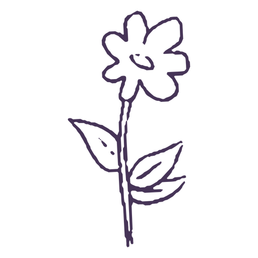 Sola flor dibujada a mano simple Diseño PNG