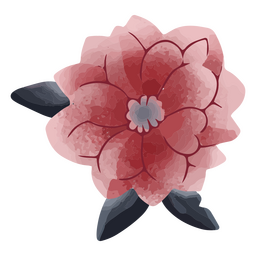 flor rosa textura delicada Diseño PNG