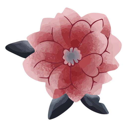 Flor rosa texturizada delicada Desenho PNG