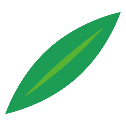 Green minimalist leaf  PNG Design