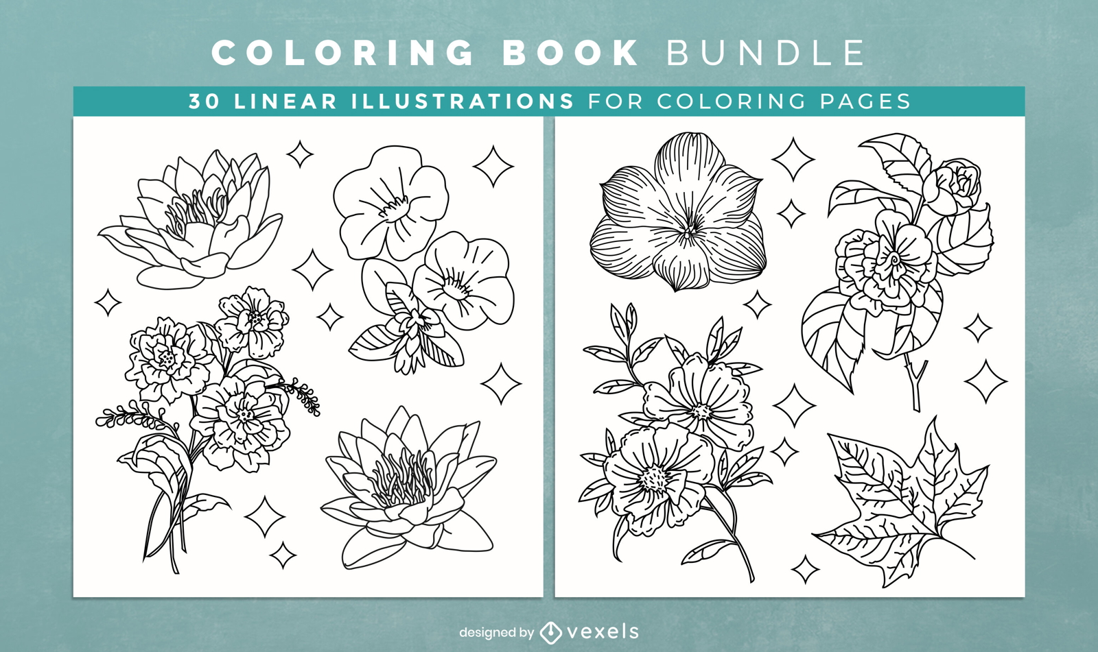Plants and flowers coloring book design pages
