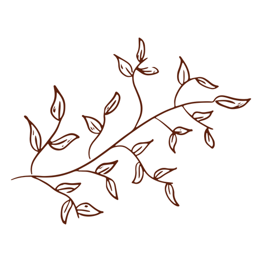 Folhas delicadas Desenho PNG