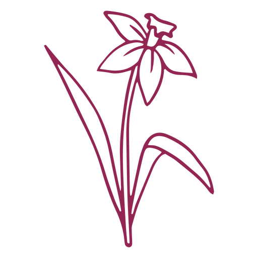 Flor de traçado simples e fofa Desenho PNG