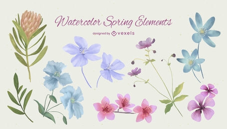 Watercolor flowers elements set