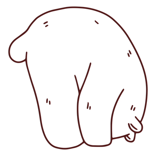 Curso de alongamento de urso pardo Desenho PNG
