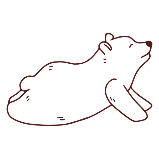 Bear yoga trazo de perro boca arriba Diseño PNG