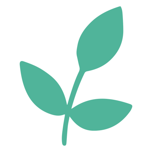 Simple leaves flat green PNG Design