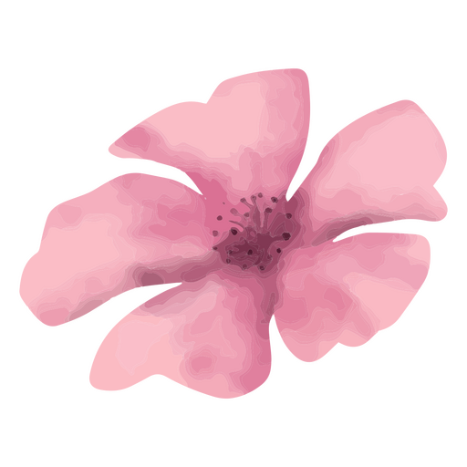 Flor de primavera con textura rosa Diseño PNG
