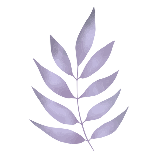 Folhas de violeta texturizadas Desenho PNG