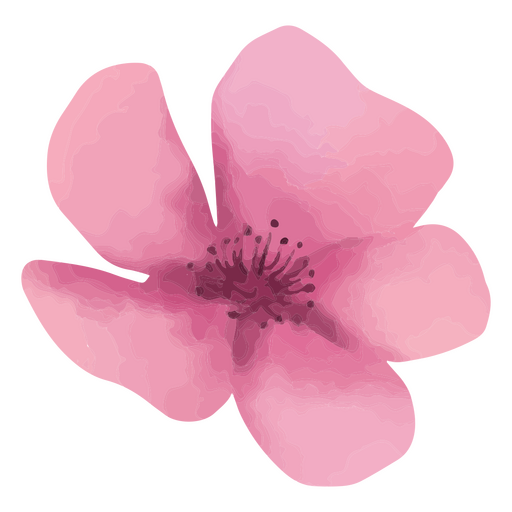 Strukturierter Frühling der rosa Blume PNG-Design