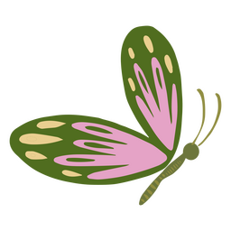 Mariposa de ilustración de primavera Diseño PNG