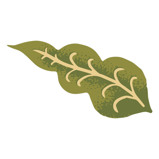 Spring illustration leaf PNG Design