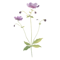 Lilac flowers and leaves PNG Design Transparent PNG