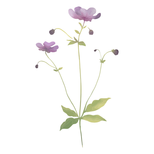 Flores e folhas lilás Desenho PNG