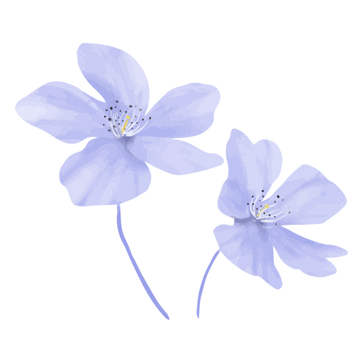 Flores azul-celeste e lilás Desenho PNG