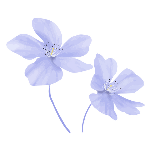 Flores celestes y lilas Diseño PNG