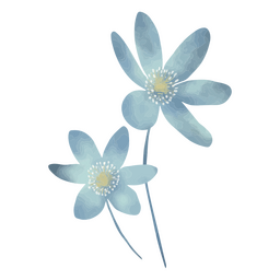 Duas flores azuis em aquarela Desenho PNG