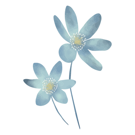 Dos flores azules de acuarela Diseño PNG