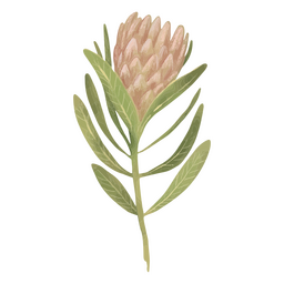 flor selvagem texturizada Desenho PNG