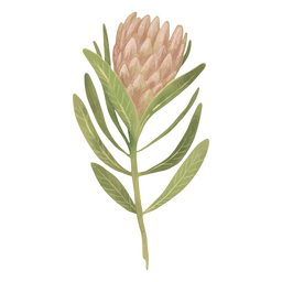Wild flower textured PNG Design