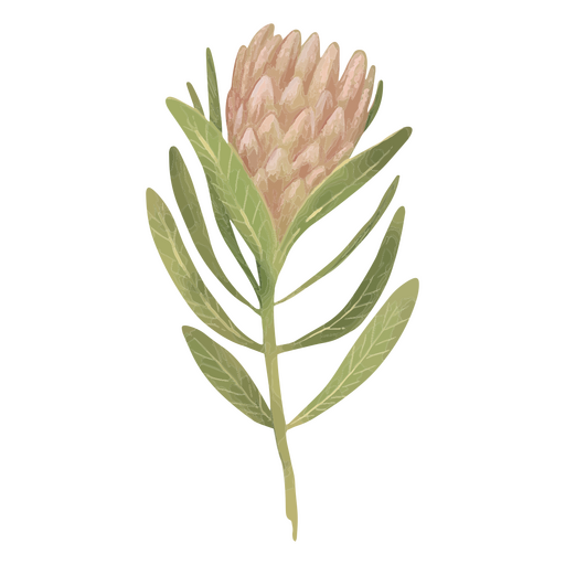 flor selvagem texturizada Desenho PNG