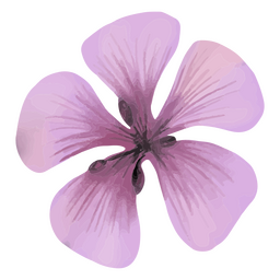 Strukturierter Frühling der violetten Blume PNG-Design