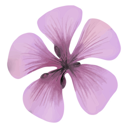 Violet flower textured spring PNG Design